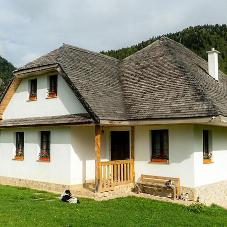 Pensiunea Hodaita Măgura Exterior photo