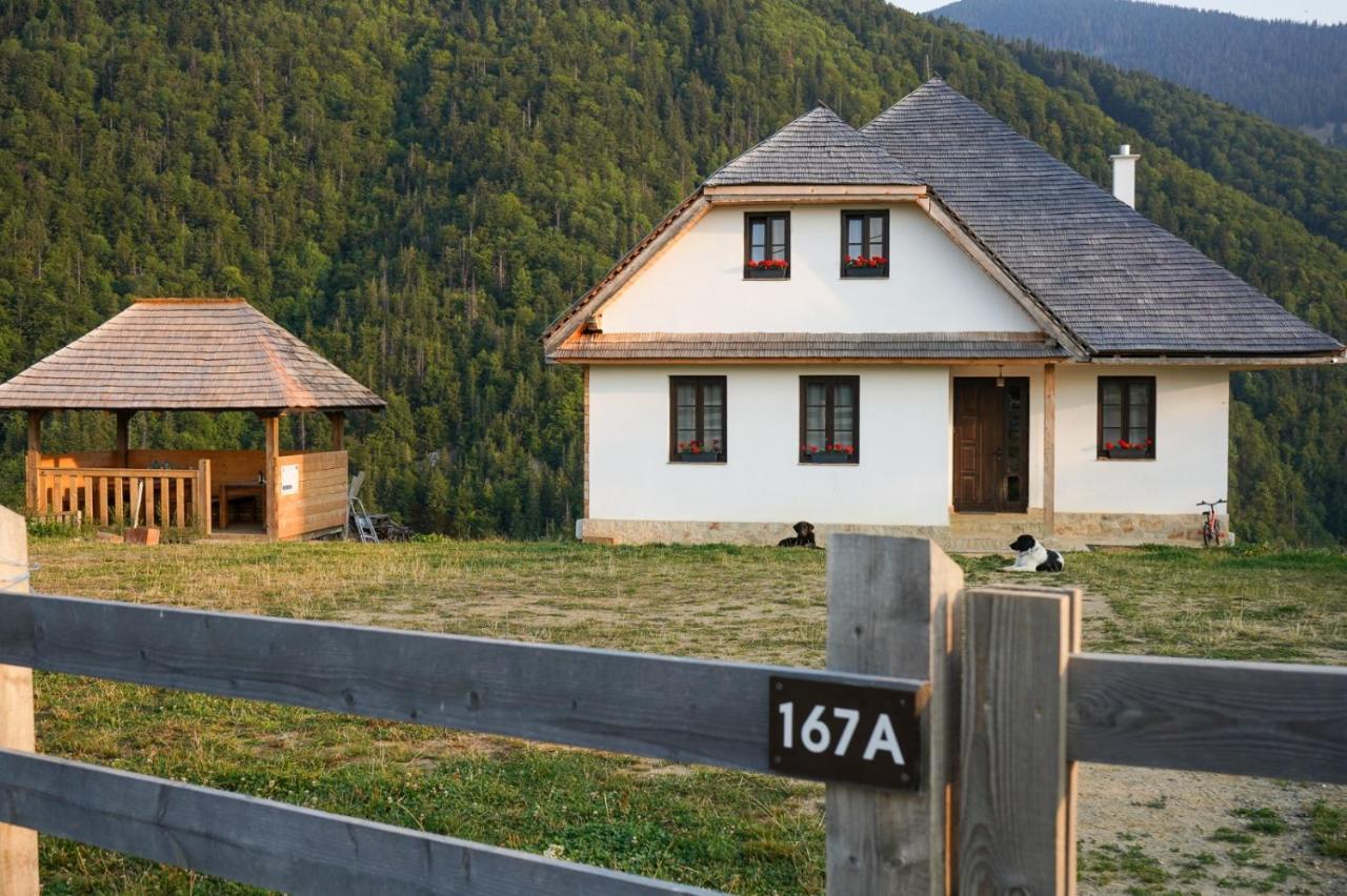 Pensiunea Hodaita Măgura Exterior photo