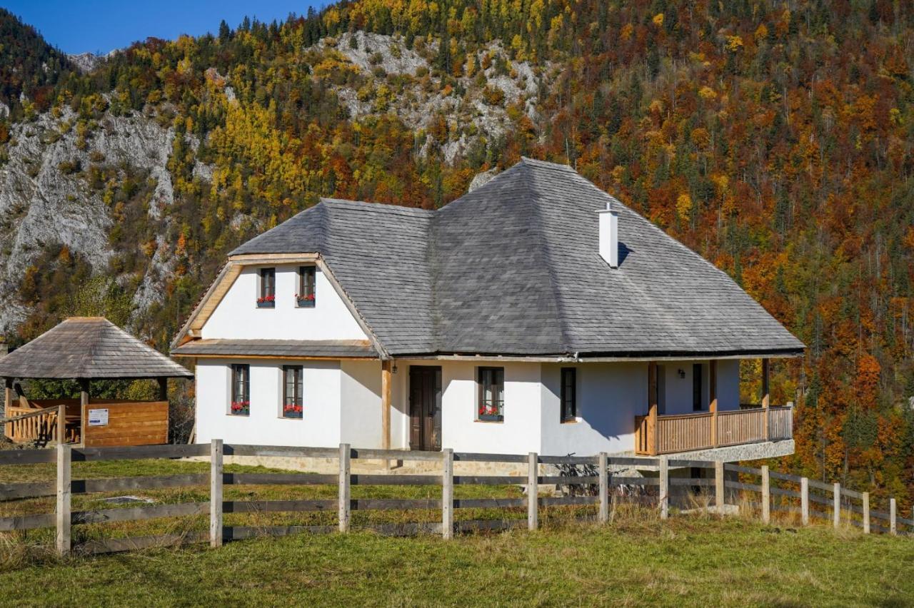 Pensiunea Hodaita Măgura Exterior photo