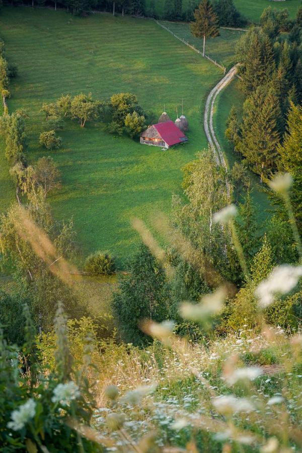Pensiunea Hodaita Măgura Exterior photo